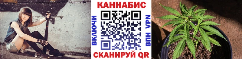 Бошки Шишки Черняховск