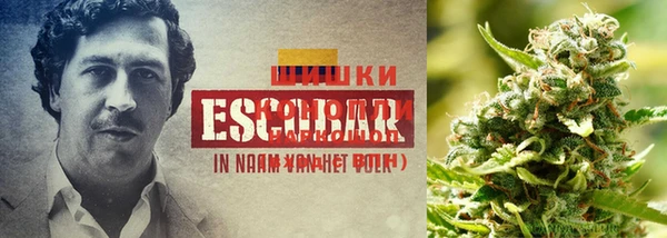 гашик Надым