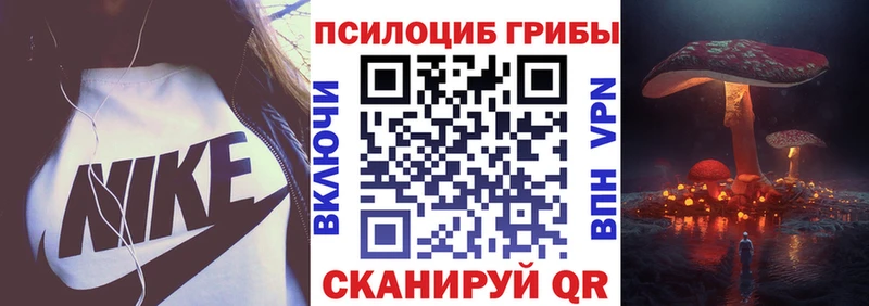 Псилоцибиновые грибы ЛСД  где продают наркотики  Черняховск 